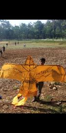 Festival Layang-Layang Meriahkan Bersih Dusun Prigi