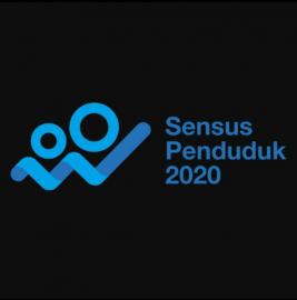 Pengumuman Rekruitmen Petugas SP2020