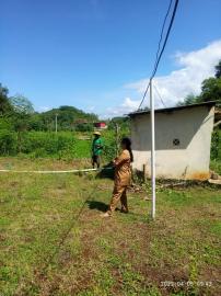 Lurah Pantau Kegiatan Gapoktan