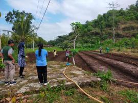 Monev  penanaman perdana bawang merah oleh Dinas Pertaru Dan Paniradya DIY