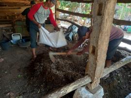 Praktik Pembuatan Pupuk Ferementasi Di Poktan Ngudi Rejeki