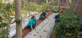 Konsisten, Taruna Tani Subur Makmur Tetap Berkegiatan