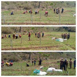 Monitoring Kegiatan BKK Pertanahan dari Paniradya Keistimewaan