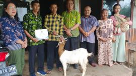 Balita Stunting Asal Padukuhan Bengle II Dapatkan Bantuan Kambing