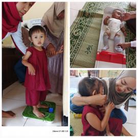 Padukuhan Puleireng - Pelaksanaan Posyandu Nyawiji