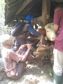 Posyandu Hewan di Pulegundes I, Upaya Tingkatkan Kesehatan dan Produktivitas Ternak Warga