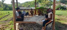 Penanganan Hama Bawang Merah, BPP Tepus Lakukan Penyemprotan dan Pelatihan di Krapyak