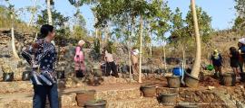 Lurah Sidoharjo Motivasi KWT Pulengelo untuk Terus Berinovasi dan Berkembang